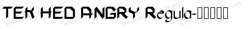 TEK HED ANGRY Regula字体转换